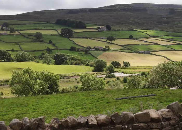 Crow Hall - Luxury *